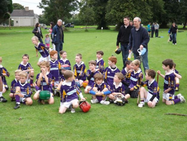 U8s Hurling