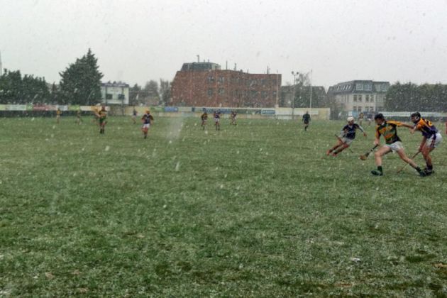 Winter snow in Glenalbyn