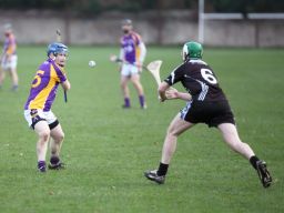 2013_12_01_82472_AHL3_PrgnesW