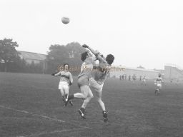 Roll of Honour 1979