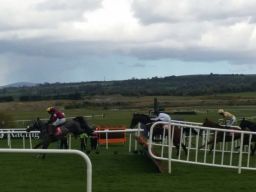 Punchestown 2016 -  Another Day at the Races