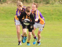 Féile B Team - Reports and Photographs