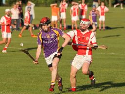 Crokes take the points in MHL1 v Cuala