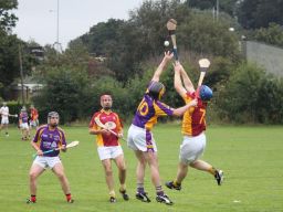 JHCC v Civil Service 2016