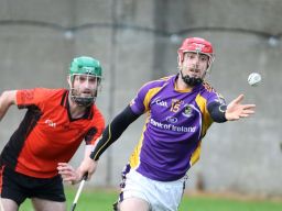 SHCA v Ballinteer