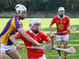 MHC v Brigids