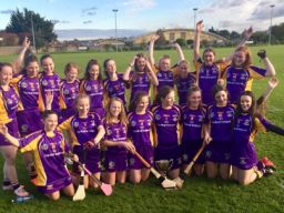 Crokes Camogie Under 14s continue their winning streak with Camogie County Championship
