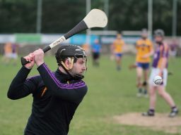 Mixed fortunes for Adult Hurling Championship Teams