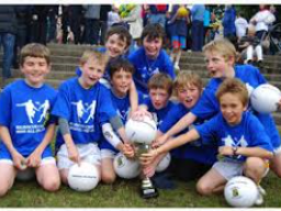 Mini All Ireland's - Its that Time of Year again 