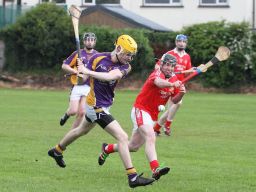 Intermediate Hurlers vs St Bridgets