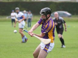 Intermediate Hurlers overcome Vincents