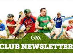 GAA Club Newsletter November 2017