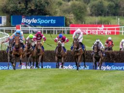 Punchestown 2018 Corporate Raceday - Report Out with Photos