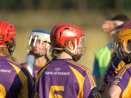 SeniorA Camogie team vs Erins Isle