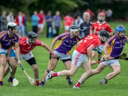 Senior B Championship Match Kilmacud Crokes v St Pats.