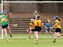 All Ireland Camogie 7's