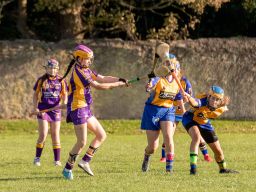 Kilmacud Crokes Under 16B Versus Na Fianna  Championship