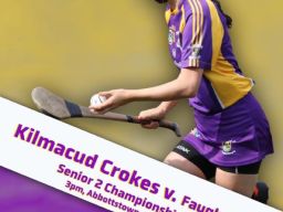 Good Luck Senior Camogie Team