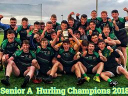 Big Crokes Involvement in great win for St.Benildus College - Dublin Senior A Hurling