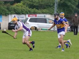 Senior Hurling B Championship 4th round  Kilmacud Crokes V Castleknock