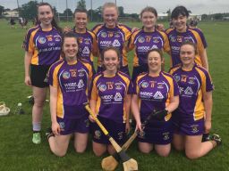 Camogie Girls Win Dunboyne 7's tournament