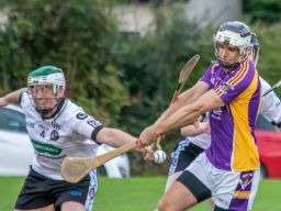 AHL3 Kilmacud Crokes v Peregrines