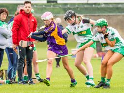 Great Photo's from the Baker Tilly Kilmacud Crokes All Ireland 7's