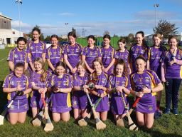 U13 Girls win Division 1 shield final