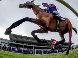 A Day at the Races on Sunday Feb 2nd - An Offer Kilmacud CRokes Members