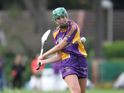 Senior 1 Camogie vs Faughs/Celtic