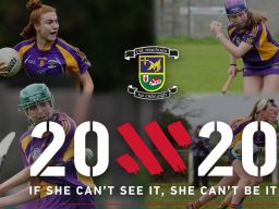 Crokes Beyond 20x20   - If She Can't See It