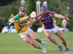 Go Ahead Adult Hurling League Division One South vs Faughs