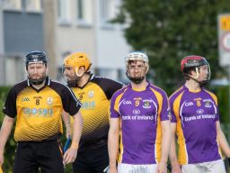 Go Ahead Adult Hurling League Division Three South  Kilmacud Crokes Versus St Marks