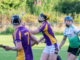 Go Ahead Adult Hurling League Division One South  Lucan Versus Kilmacud Crokes