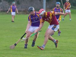 Intermediate Hurlers edge past Maurs in Championnship
