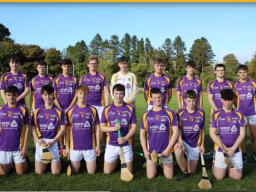  CROKES MINOR C HURLERS BEAT NA FIANNA IN QUARTER FINAL!