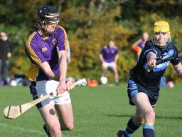 Junior B Hurlers win relegation match
