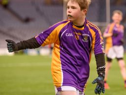 Kilmacud Crokes Under 13 Half Time Game Versus Kilcoo during All Ireland Club Football Final