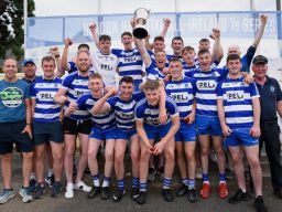 Lisdowney win Cup final in Beacon Hospital Hurling 7s