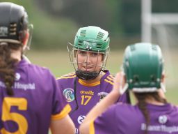 Camogie Go-Ahead Championship Senior 1 vs Castleknock