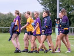 Ladies Football Go-Ahead Junior B Championship Knock Out Stages Final Kilmacud Crokes V St Brendans