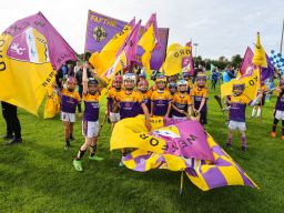 Kilmacud Crokes Festival of Hurling