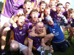 Kilmacud Crokes Senior Hurlers win County Championship 