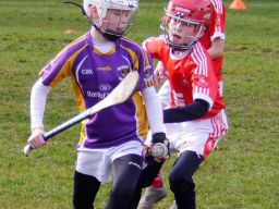 U10 Hurling Gp.1Z  vs St Brigids