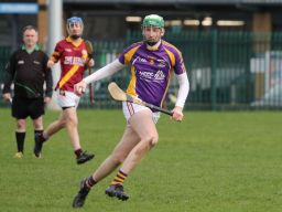 Adult Hurling League Division Eight  vs St Maurs