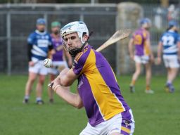 Adult Hurling League Division Four vs Skerries Harps