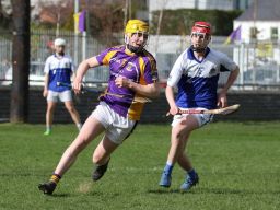 Adult Hurling League Division 7 vs St Kevins
