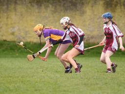 Camogie Junior 3 League   Kilmacud Crokes Versus St Finians 