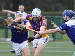 ADULT HURLING LEAGUE DIVISION FOUR Versus KEVINS