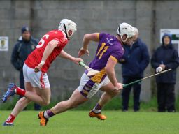 Adult Hurling League Division 1 vs St Brigids